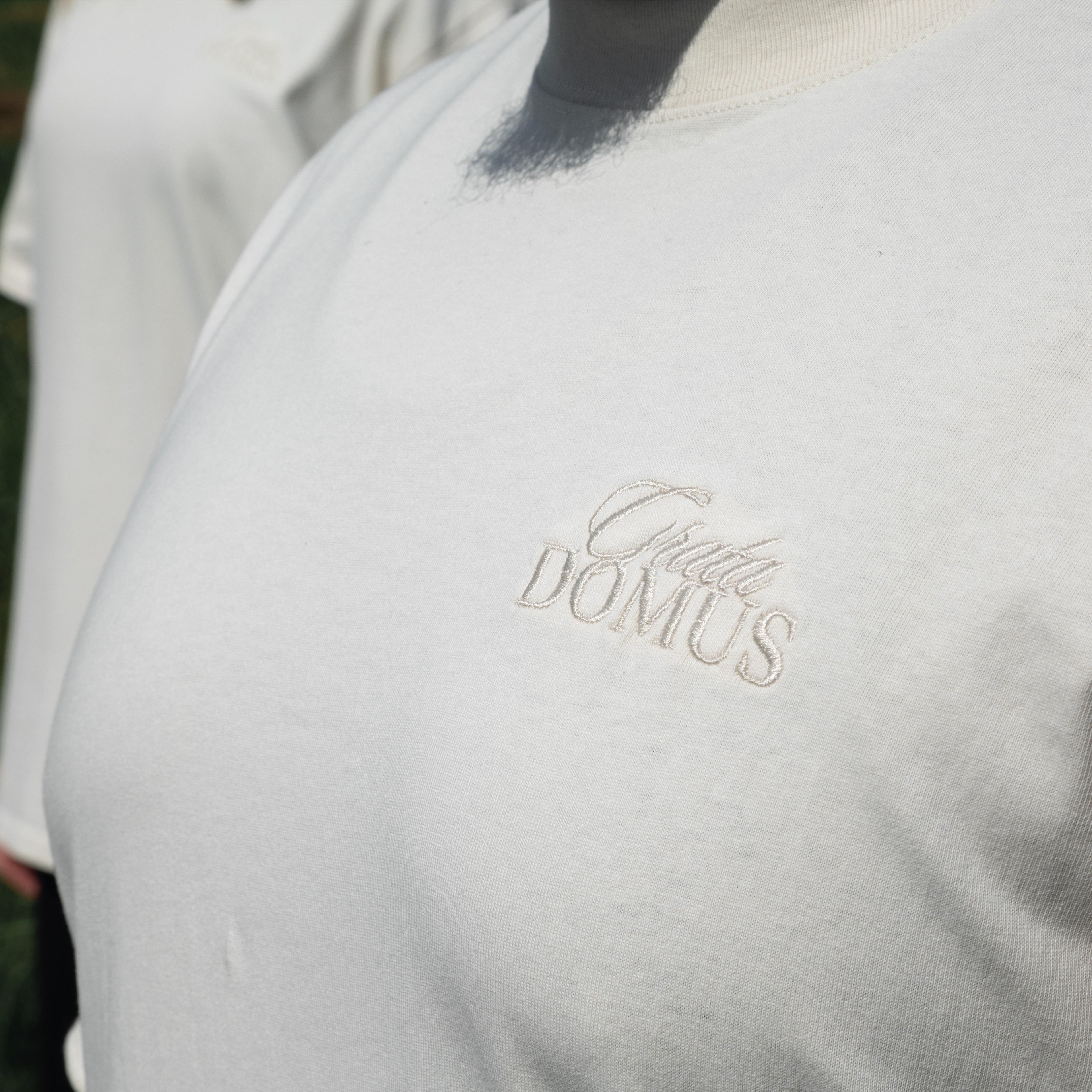 Book II: THE SUMMARY