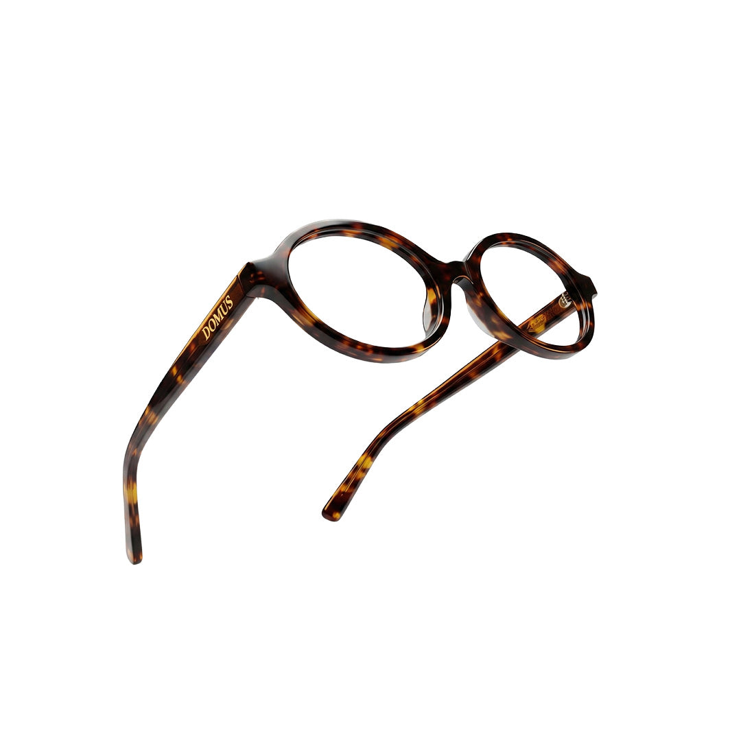 Chapter III: PROTECTION